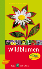 Steinbachs Naturf&uuml;hrer Wildblumen - Bruno P. Kremer, Birke Steinbach