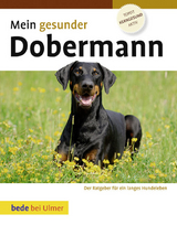Mein gesunder Dobermann - Lowell Ackerman