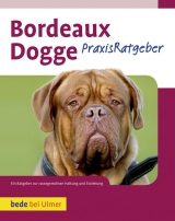 Bordeaux Dogge - Joseph Janisch