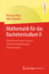 Mathematik f&uuml;r das Bachelorstudium II - Matthias Plaue, Mike Scherfner