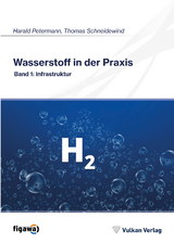 Wasserstoff in der Praxis - Thomas Schneidewind