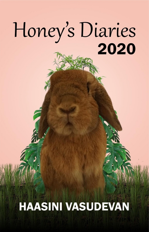 Honey's Diaries 2020 - Haasini Vasudevan