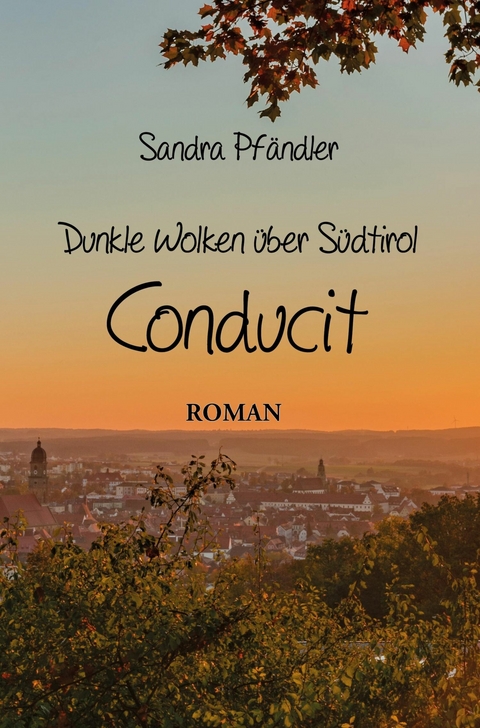 Dunkle Wolken &uuml;ber S&uuml;dtirol - Conducit - Sandra Pf&auml;ndler