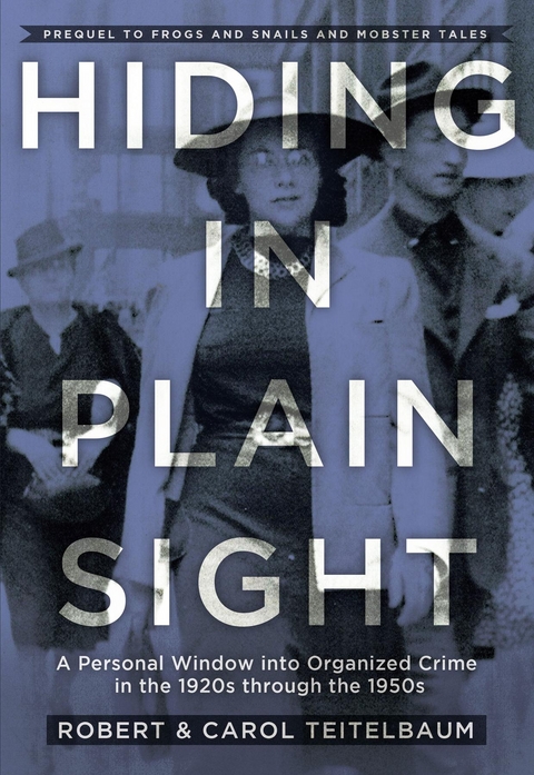Hiding in Plain Sight - Robert J Teitelbaum, Carol a Teitelbaum