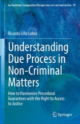 Understanding Due Process in Non-Criminal Matters - Ricardo Lillo Lobos