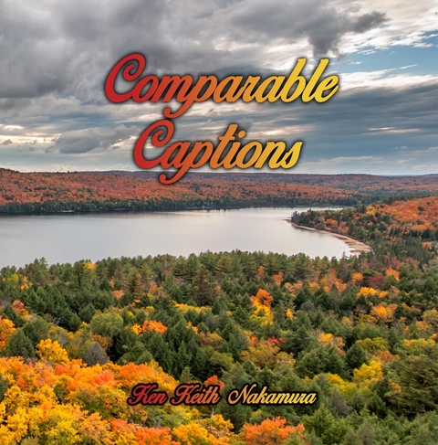 Comparable Captions - Ken Keith Nakamura