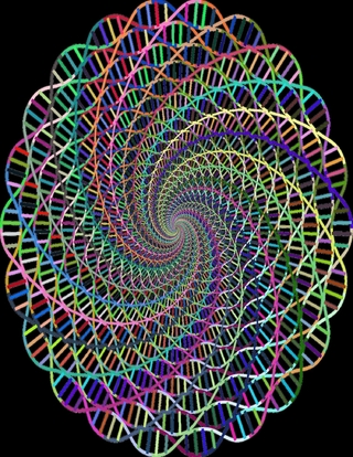 Handbook: The Duty for "Sponsor Oversight" in Clinical Research