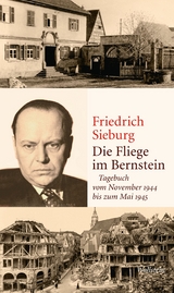 Die Fliege im Bernstein -  Friedrich Sieburg
