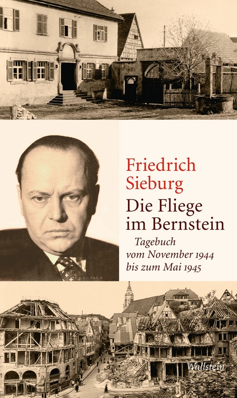 Die Fliege im Bernstein -  Friedrich Sieburg