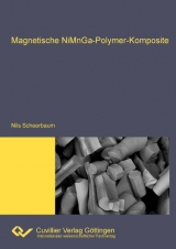 Magnetische NiMnGa-Polymer-Komposite - Nils Scheerbaum