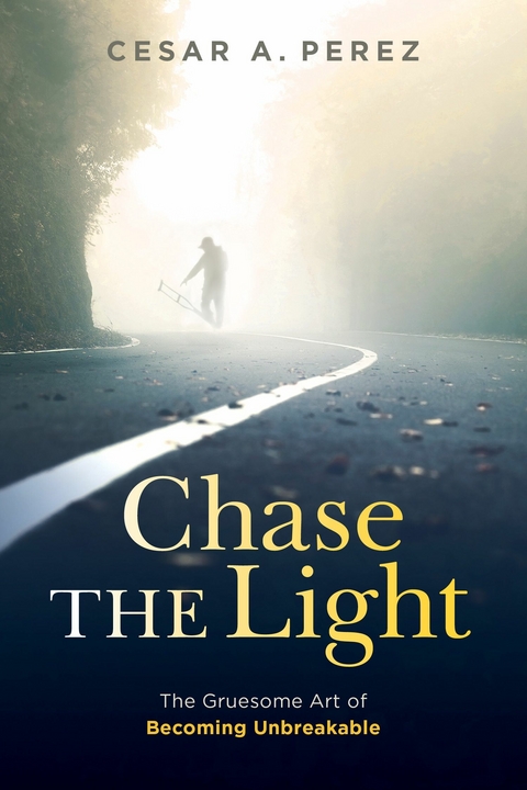 Chase the Light -  Cesar A. Perez