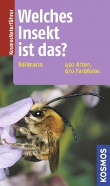 Welches Insekt ist das? - Bellmann, Heiko