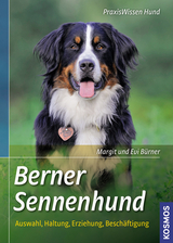 Berner Sennenhund - Margit B&uuml;rner, Evi B&uuml;rner