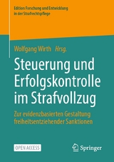 Steuerung und Erfolgskontrolle im Strafvollzug - 