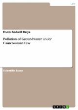 Pollution of Groundwater under Cameroonian Law - Enow Godwill Baiye