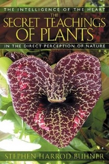 The Secret Teachings of Plants - Stephen Harrod Buhner