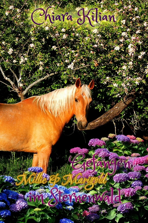 Gefangen im Sternenwald -  Chiara Kilian