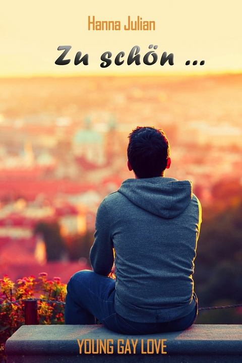 Zu sch&ouml;n ... - Hanna Julian