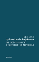 Hydroelektrische Projektionen -  Fabian Zimmer