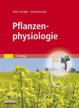 Pflanzenphysiologie - Peter Schopfer, Axel Brennicke