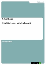 Perfektionismus im Schulkontext - Melisa Kamza