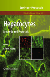 Hepatocytes - 