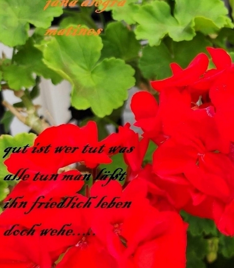 GUT IST wer tut was alle tun.......... -  Jana Alegra Martines