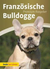 Franz&ouml;sische Bulldogge - Annette Schmitt