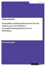 Kennzahlen und Kennzahlensystem f&uuml;r den Aufbau eines betrieblichen Gesundheitsmanagements f&uuml;r ein M&ouml;belhaus - Tobias Schnizler