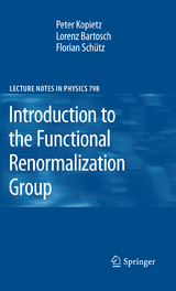 Introduction to the Functional Renormalization Group - Peter Kopietz, Lorenz Bartosch, Florian Sch&uuml;tz