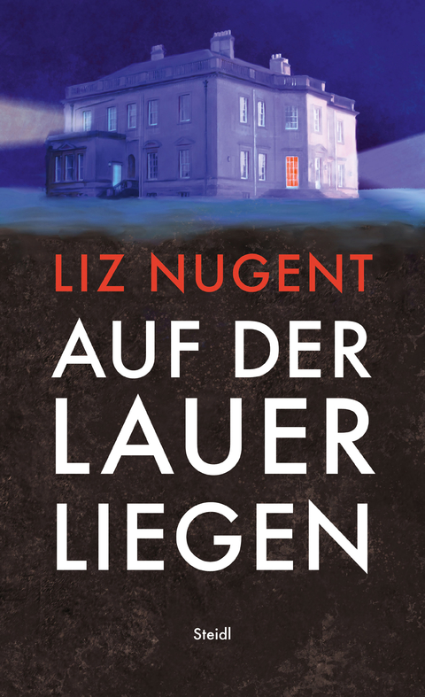 Auf der Lauer liegen - Liz Nugent