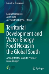 Territorial Development and Water-Energy-Food Nexus in the Global South - 