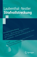 Strafvollstreckung - Klaus Laubenthal, Nina Nestler
