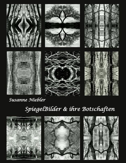 SpiegelBilder und ihre Botschaften - Susanne Niebler