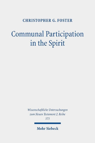 Communal Participation in the Spirit