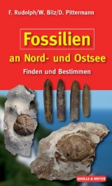 Fossilien an Nord- und Ostsee - F Rudolph, D Pittermann, W Bilz
