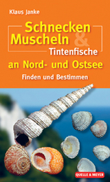 Schnecken, Muscheln & Tintenfische an Nord- und Ostsee - Klaus Janke