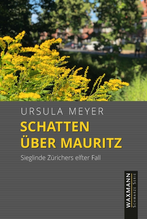 Schatten &uuml;ber Mauritz -  Ursula Meyer