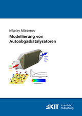Modellierung von Autoabgaskatalysatoren - Nikolay Mladenov