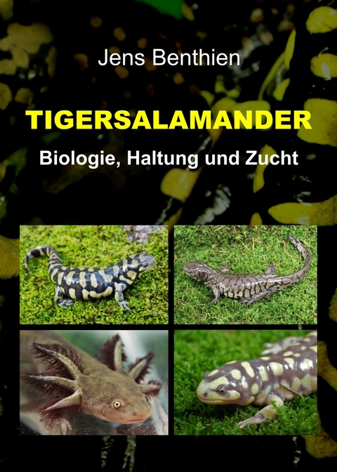 Tigersalamander -  Jens Benthien