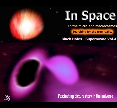 Black holes - Supernovae -  Barbara Stein