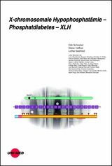 X-chromosomale Hypophosphat&auml;mie - Phosphatdiabetes - XLH - Dirk Schnabel, Dieter Haffner, Lothar Seefried