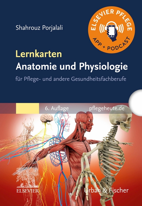 Lernkarten Anatomie und Physiologie -  Shahrouz Porjalali