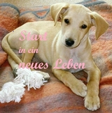 Start in ein neues Leben - Frank Kluckert