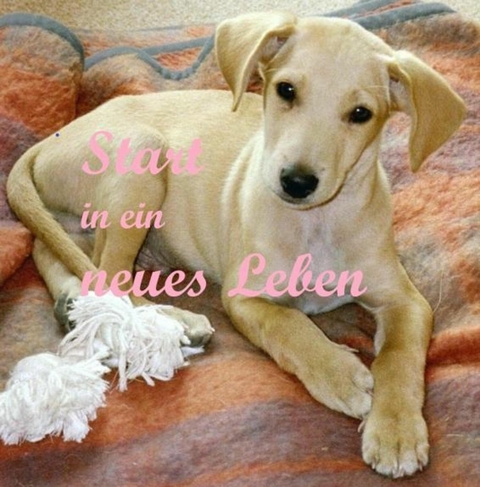 Start in ein neues Leben - Frank Kluckert