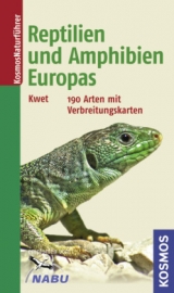 Reptilien und Amphibien Europas - Kwet, Axel