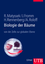 Biologie der B&auml;ume - Rainer Matyssek, J&ouml;rg Fromm, Heinz Rennenberg, Andreas Roloff