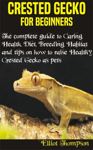 Crested Gecko for Beginners