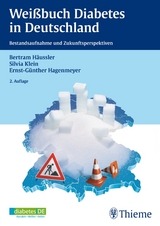 Wei&szlig;buch Diabetes in Deutschland - Ernst-G&uuml;nther Hagenmeyer, Bertram H&auml;ussler, Silvia Klein