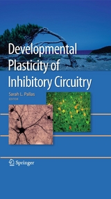 Developmental Plasticity of Inhibitory Circuitry - 